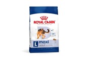 Hunde - Royal Canin Maxi Adult L - dry dog food - 4kg - 3182551055917