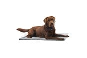 Hunde - KRUUSE Vet Bed, rutschfest, grau, 150 x 75 cm - 381616