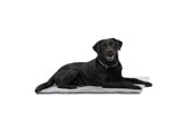 Hunde - KRUUSE Vet Bed, grau, 150 x 75 cm - 381613