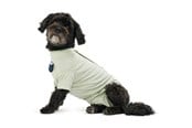 Hunde - KRUUSE BUSTER Body Suit Step´n Go Für Hunde, XS, Dusty Gre - 273740
