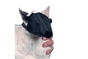 Hunde - KRUUSE BUSTER Maulkorb Nylon f./Katze onesize - 279390