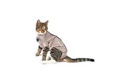 Katzen - KRUUSE BUSTER Body Suit Step'n Go für Katze, XXXS - 273946