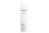 Gesichtspflege - Caudalie Eau De Raisin Grape Water 75 ml - C-C1-102-75