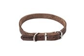 Hunde - Timely PRAG Halsband Dunkelbraun 16 mm. / 45 cm. - 5907784896995