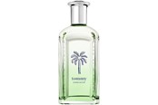 Parfüm und Düfte - Tommy Hilfiger Tommy Endless Summer - 100 ml0 - 7640496670320