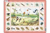 Puzzle - Larsen Puzzles Nature Puzzle: Pond – 48 pieces Maxi (36.5 x 28.5 cm) 2D Puzzles - NA3