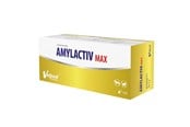 Hunde - Vetfood Amylactiv Max - Nahrungsergänzungsmittel für Hunde und Katzen - 120 Stk. - 5903260904635