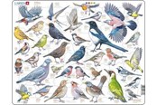 Puzzle - Larsen Puzzles Garden Birds Jigsaw Puzzle – 69 pieces Maxi (36.5 x 28.5 cm) 2D Puzzles - ZOO4-V1