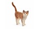 Schleich - Schleich Katze - 13836