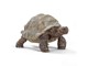 Schleich - Schleich Giant Tortoise - 14824