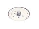 Küchenmaschinen-Zubehör - Magimix Rivejern til foodprocessor 6 mm Stål - 17851