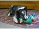341122