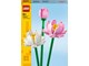 LEGO® - LEGO Flowers 40647 Lotusblumen - 40647