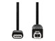 CCGB60650BK20