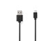 CCGL60501BK10