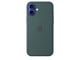 Handys - Cover & Cases - Apple iPhone 16 Plus Silicone Case with MagSafe - Lake Green - MYYH3ZM/A