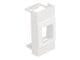 81353