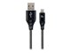 CC-USB2B-AMMBM-1M-BW
