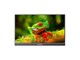 A1 T