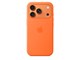 Handys - Cover & Cases - Apple iPhone 17 Pro Silicone Case with MagSafe – Orange - MGFE4ZM/A