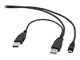 CCP-USB22-AM5P-3
