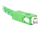 FO-SASA-SS31-0025-WH