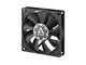 ACFAN00295A
