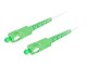 FO-SASA-SS21-0300-WH
