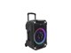 FLASH1040