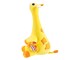 14903-gir
