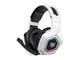 B100 White