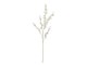 82061521