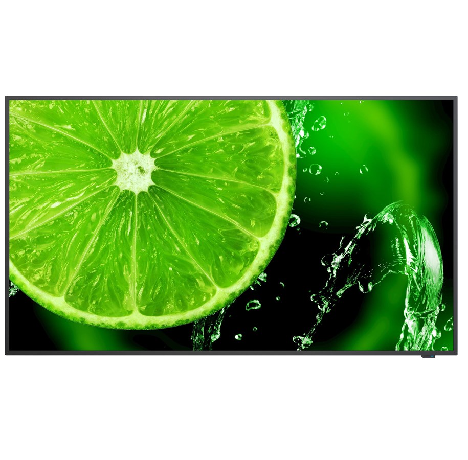 Monitor - NEC MultiSync E498 - 3840x2160 (4K) - 60Hz - IPS - 60005052