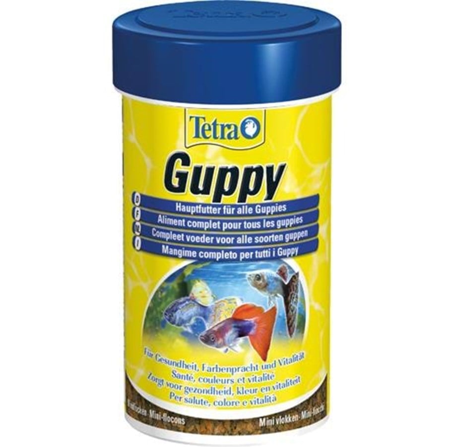 Fische - Tetra Guppy 100 Ml. - T129047