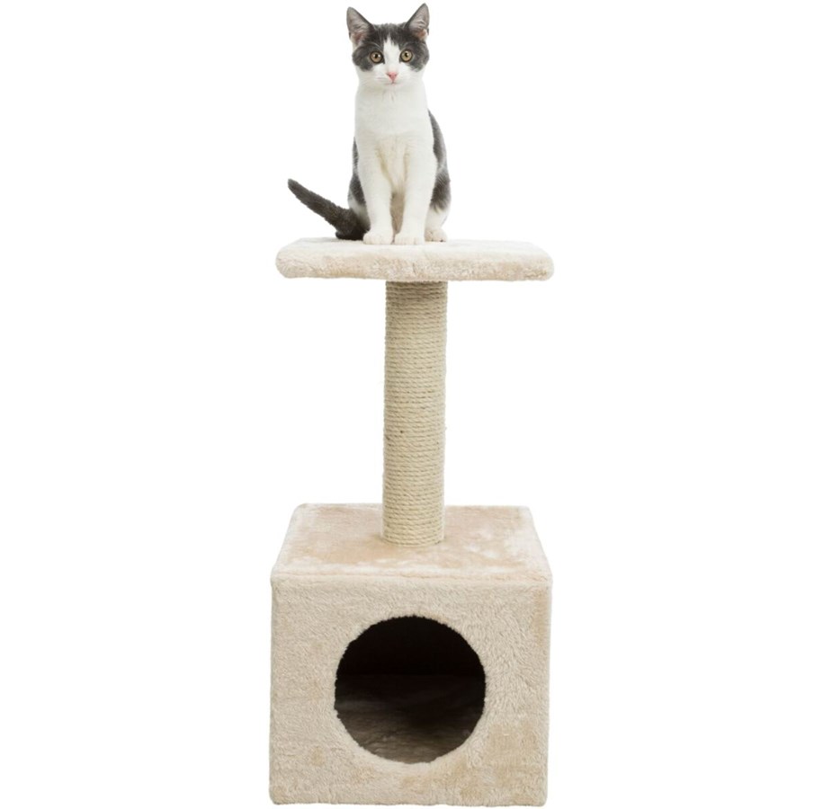 Katzen - Trixie Junior-Kratzbaum Zamora Beige 60cm - TX43351