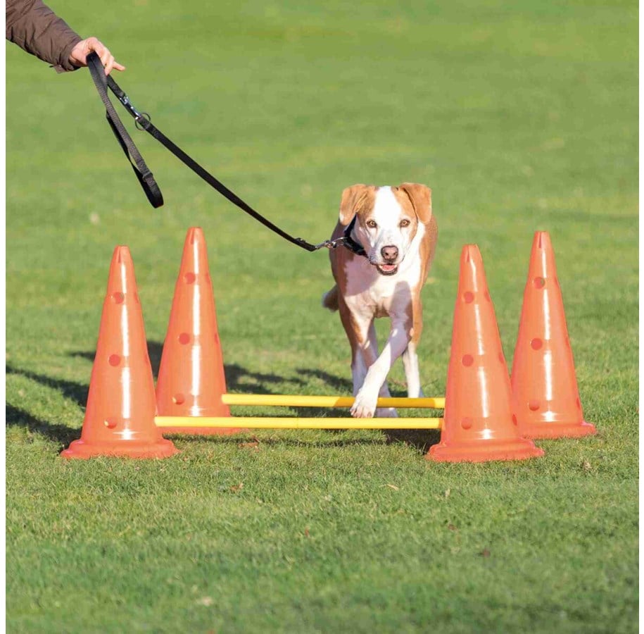 Hunde - Trixie Hundetraining Pylon-Hindernisset (4 Pylonen - 2 Stangen) - TX32092