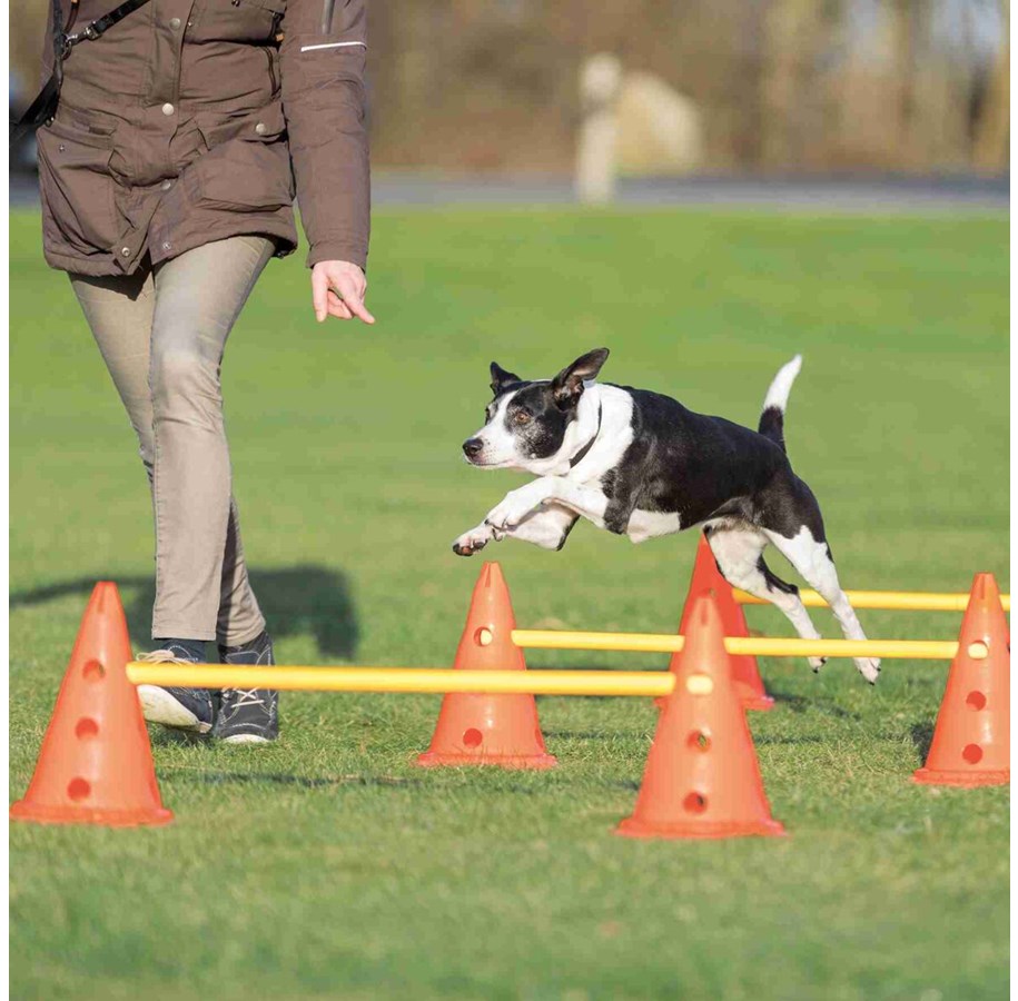 Hunde - Trixie Hundetraining Pylon-Hindernisset (6 Pylonen - 3 Stangen) - TX32091