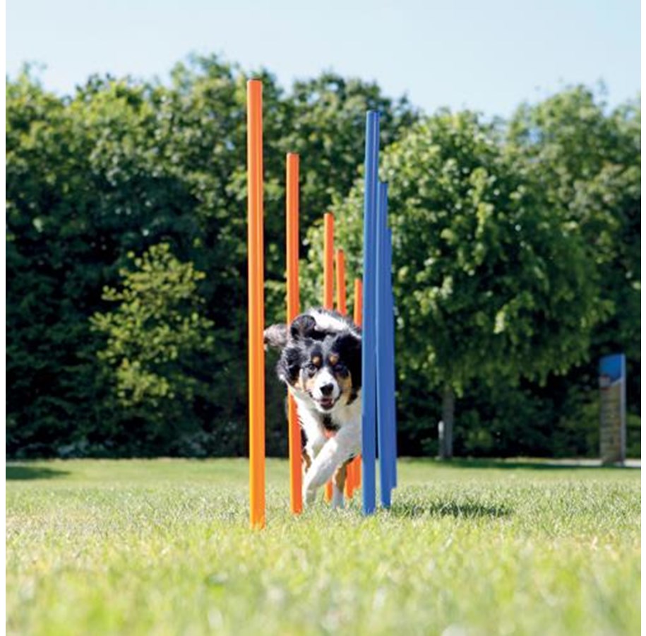 Hunde - Trixie Fun Agility slalom plastic ø 3 × 115 cm 12 pcs. blue/orange - TX3206