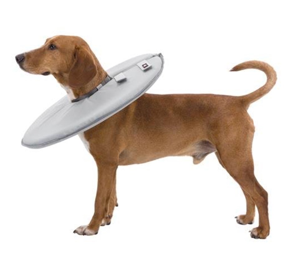 Hunde - Trixie Protective collar polyester/foam L: 46–49 cm/24 cm grey - TX19425