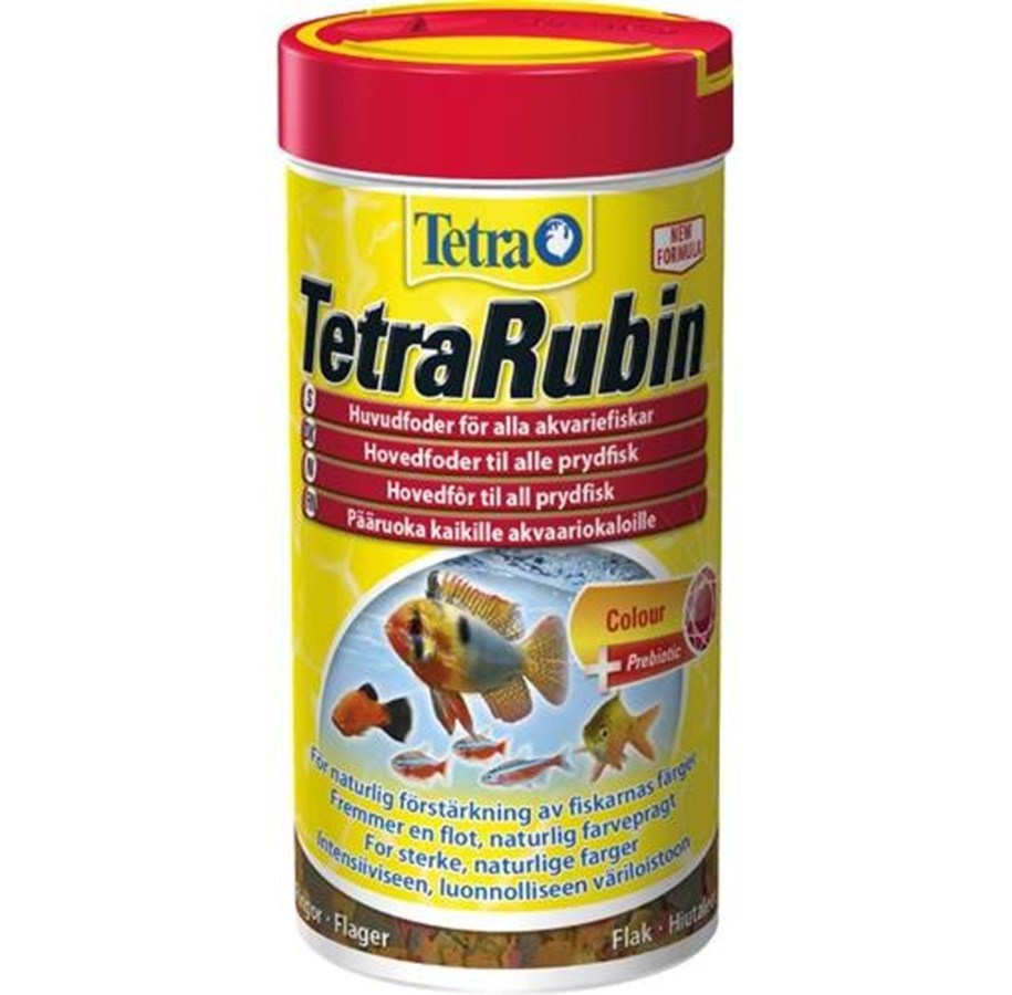 Fische - Tetra rubin 1/4 - T10536