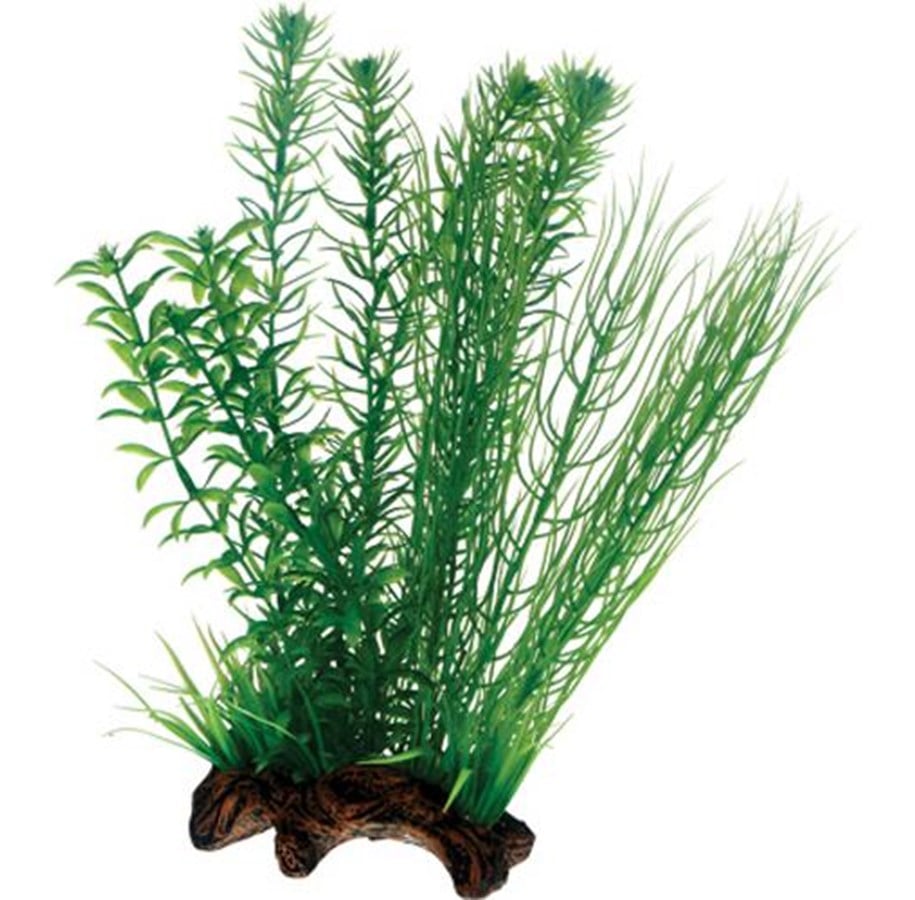 Fische - Dohse Flora Root 2 L 30 cm - P51596