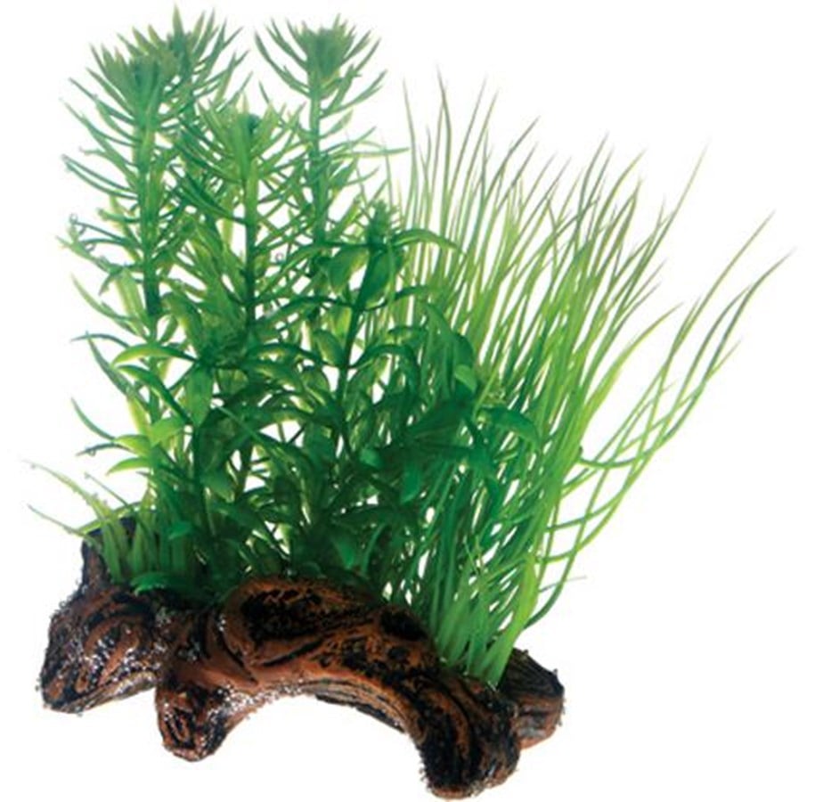 Fische - Dohse Flora Root 2 S 17 cm - P51595