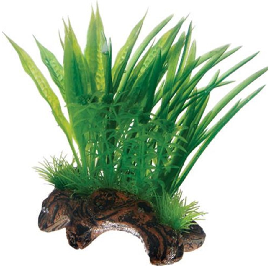 Fische - Dohse Flora Root 1 S 17 cm - P51593