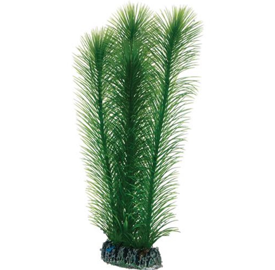 Fische - Dohse Mayaca 25 cm - P51586