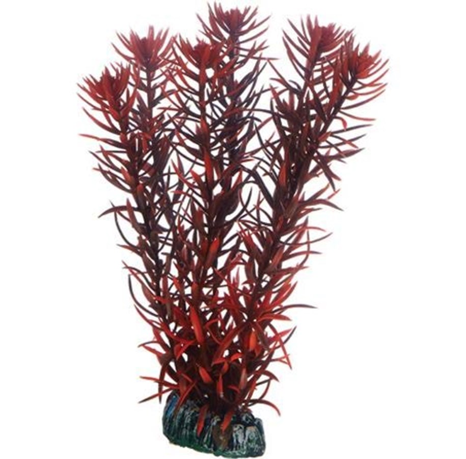 Fische - Dohse Eusteralis 20 cm - P51582