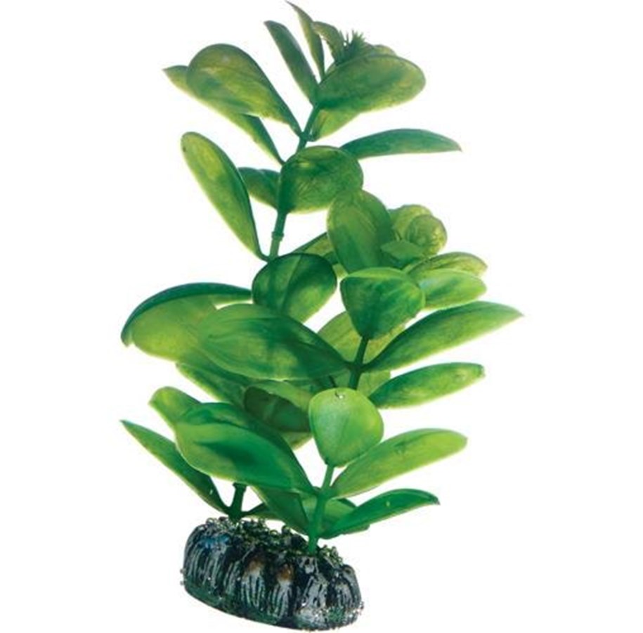 Fische - Dohse Saururus 16 cm - P51563