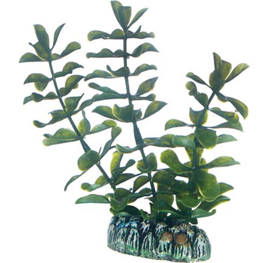 Fische - Dohse Bacopa 13 cm - P51556