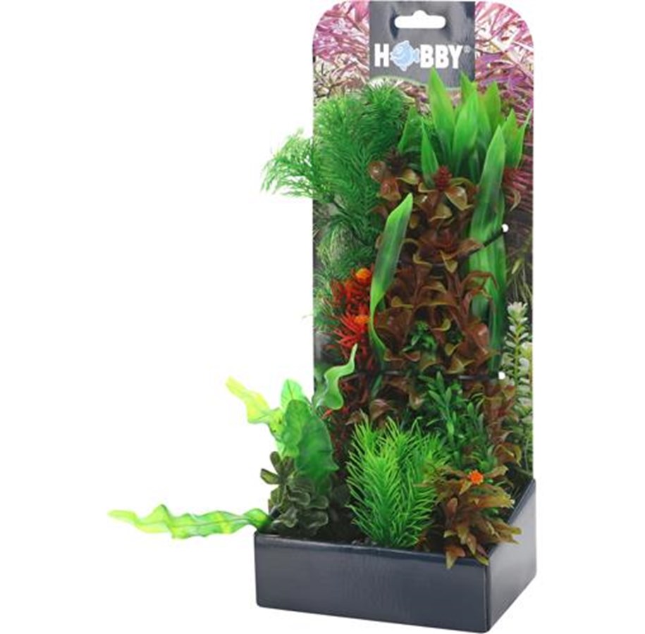 Fische - Dohse Plantasy set 6 - P51485