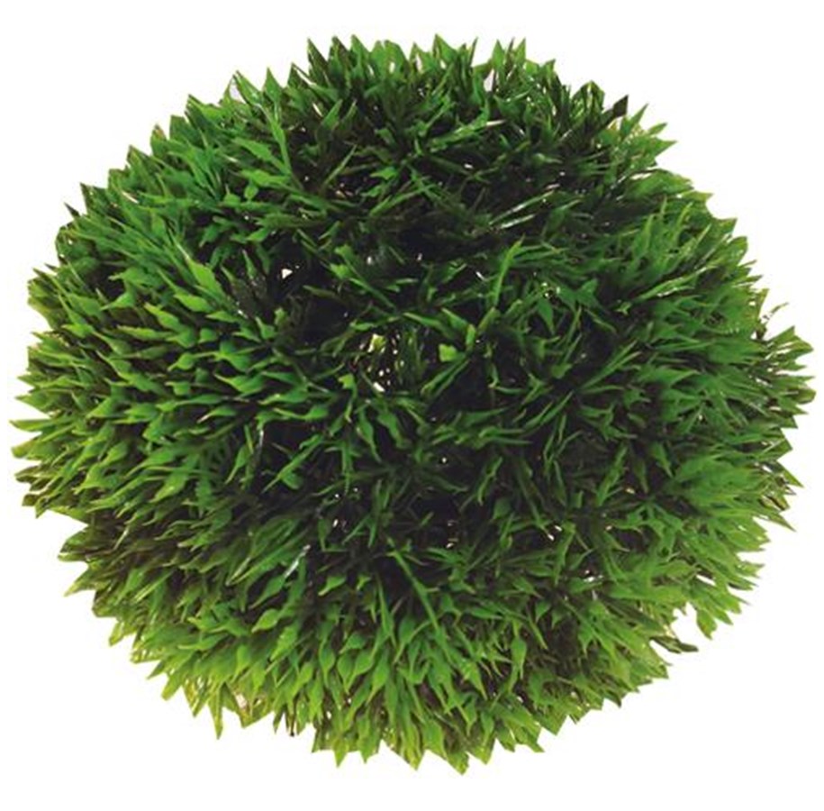 Fische - Dohse Plant Ball 13 cm - P41542