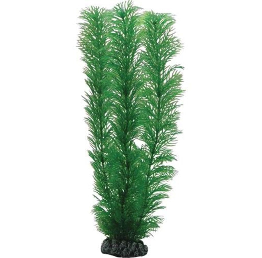 Fische - Dohse Egeria 20 cm - P41511